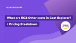 What are EC2-Other costs in Cost Explorer? Pricing Breakdown