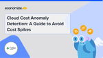 Cloud Cost Anomaly Detection: A Guide to Avoid Cost Spikes